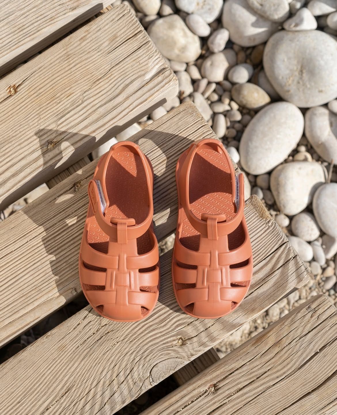 Cangrejera Nemo Solid Terracota